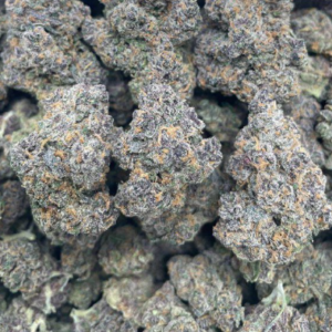 Koop Purple Gelato Fuel